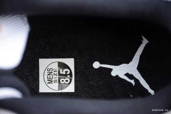 Low Jordan 528895-153  Retro 528895-153 Concord 11 0910